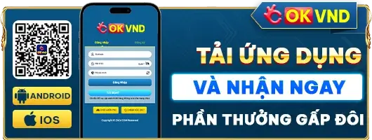 Trang chủ Zzvnd.CC