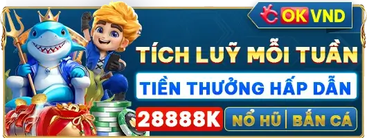 Trang chủ Rrvnd.Cc
